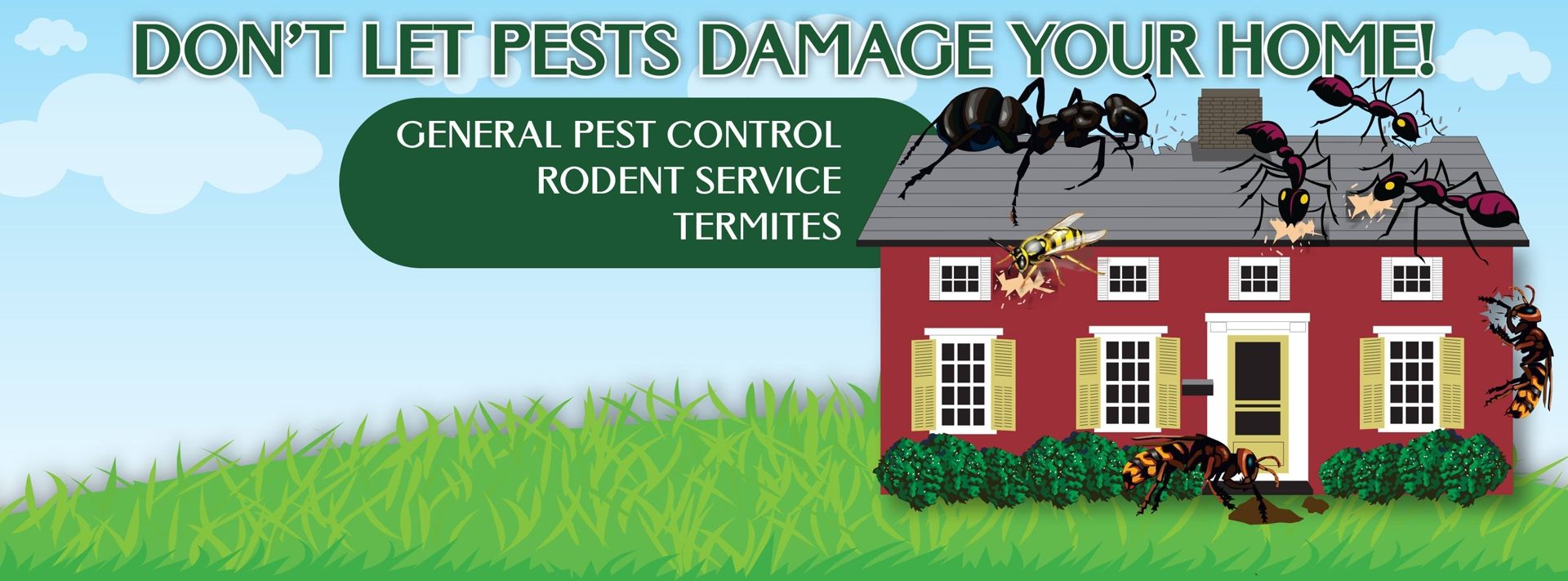 Pest Control in CT: Rodents, Termites, Bed Bugs – Exterminator in Brookfield, Danbury, Bethel, Wilton, Fairfield County by Effective Pest Management